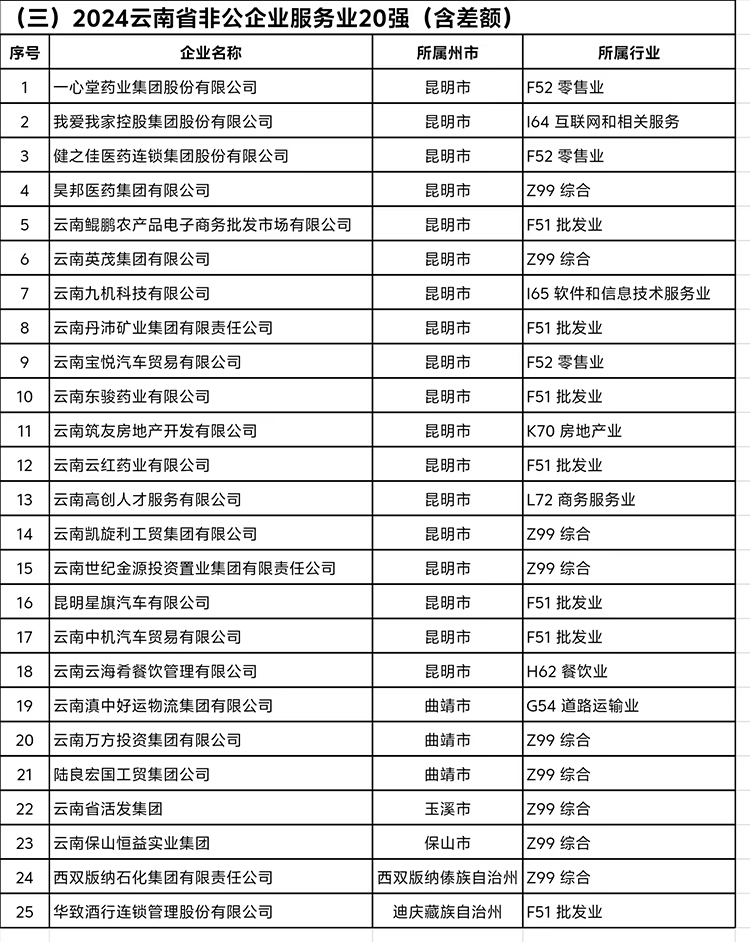 《2024云南省非公企業(yè)服務業(yè)20強》完整榜單