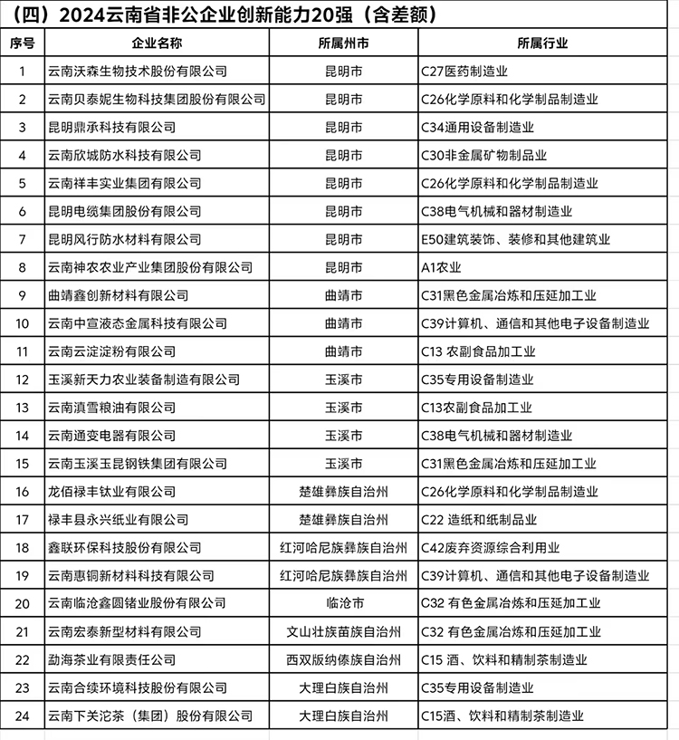 《2024云南省非公企業(yè)創(chuàng)新能力20強》完整榜單