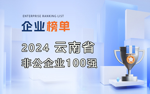 2024云南省非公企業(yè)100強榜單